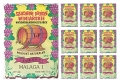 drozdze_zamojscy_malaga_x10.jpg